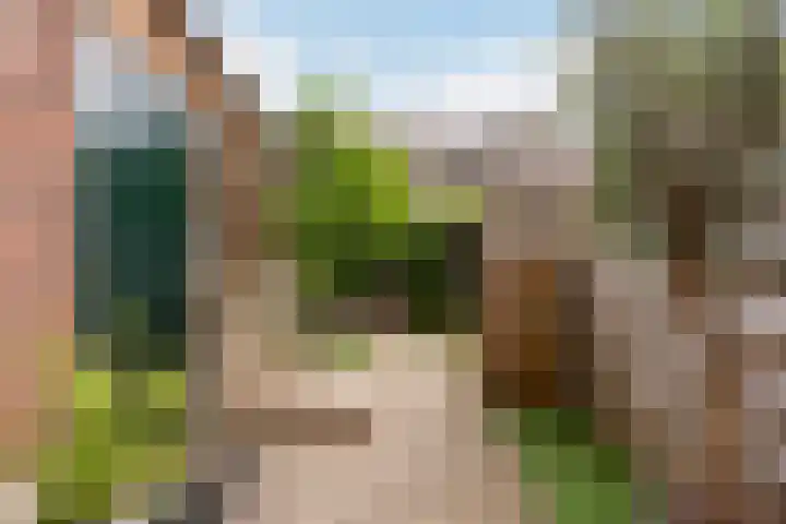 Adriaen van Ostadelaan 92 Utrecht thumbnail 25