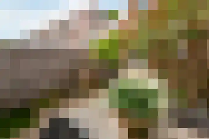 Adriaen van Ostadelaan 92 Utrecht thumbnail 26