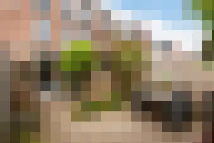 Adriaen van Ostadelaan 92 Utrecht thumbnail 27