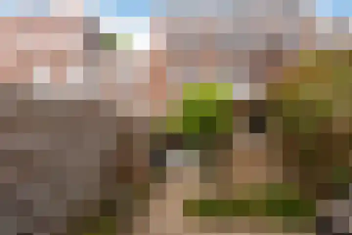 Adriaen van Ostadelaan 92 Utrecht thumbnail 28