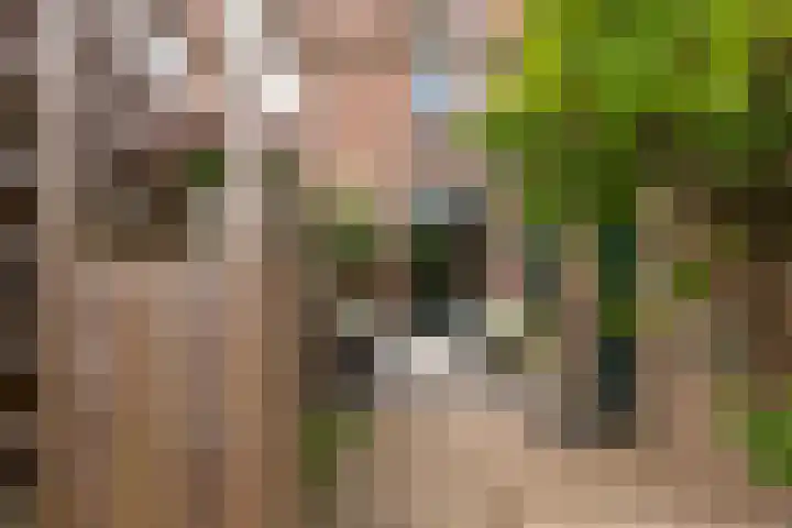 Adriaen van Ostadelaan 92 Utrecht thumbnail 29