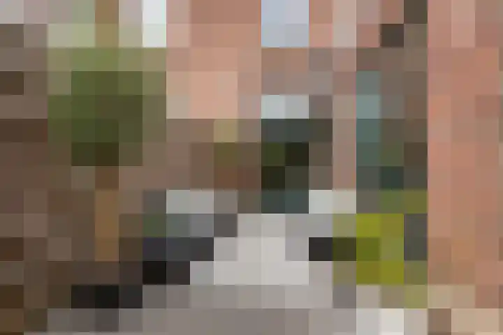 Adriaen van Ostadelaan 92 Utrecht thumbnail 30