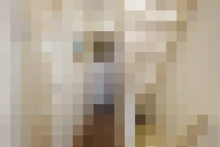 Adriaen van Ostadelaan 92 Utrecht thumbnail 32