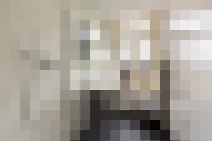 Adriaen van Ostadelaan 92 Utrecht thumbnail 33