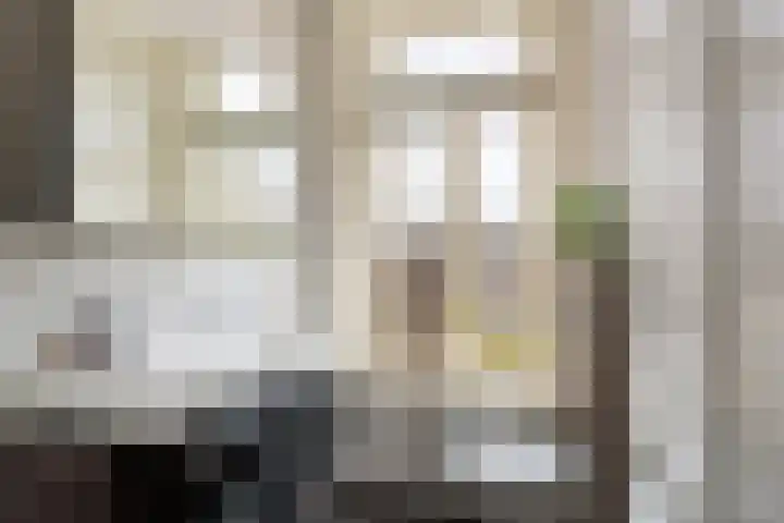 Adriaen van Ostadelaan 92 Utrecht thumbnail 34
