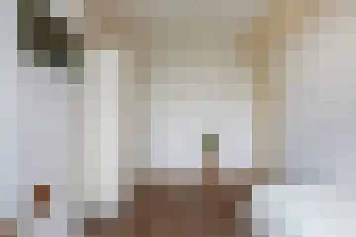 Adriaen van Ostadelaan 92 Utrecht thumbnail 37