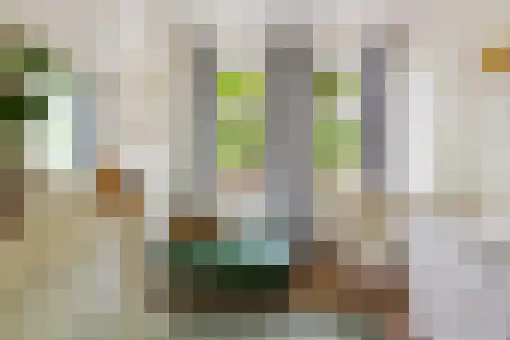 Adriaen van Ostadelaan 92 Utrecht thumbnail 38