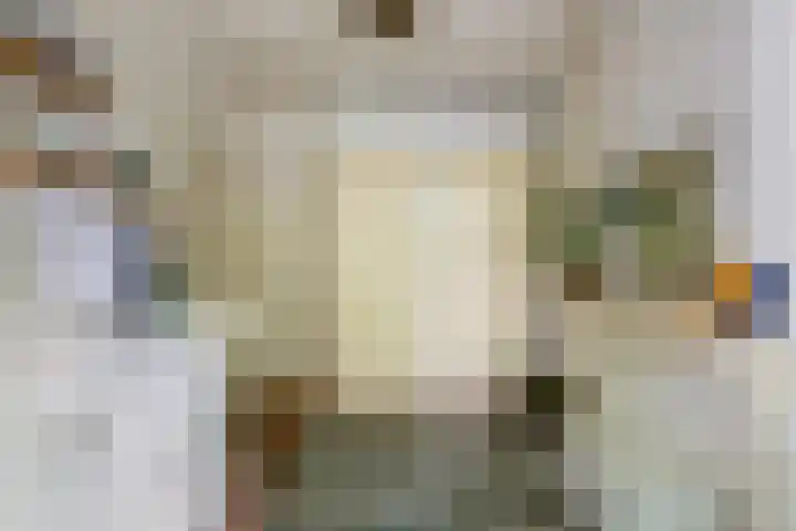 Adriaen van Ostadelaan 92 Utrecht thumbnail 39