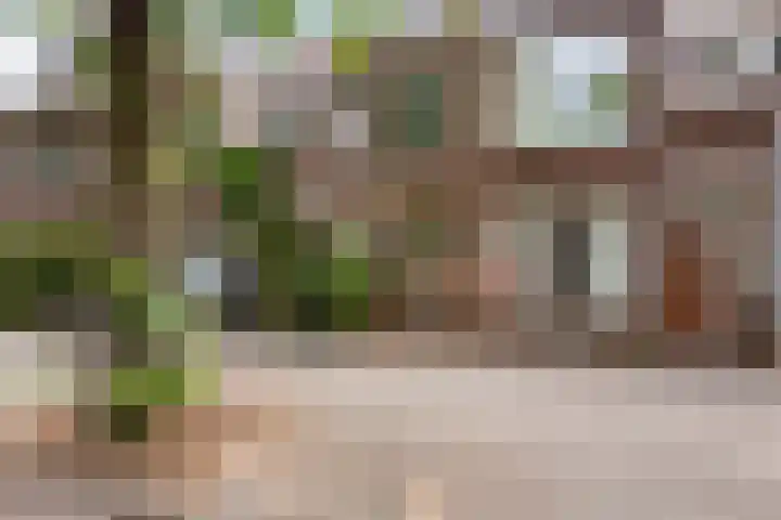 Adriaen van Ostadelaan 92 Utrecht thumbnail 4