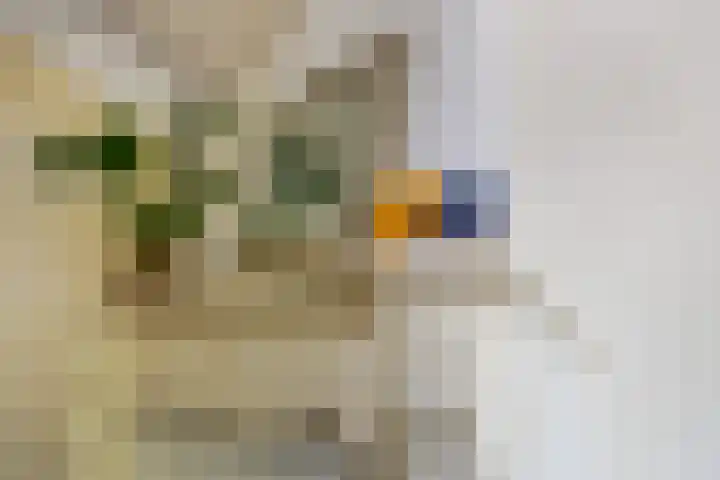 Adriaen van Ostadelaan 92 Utrecht thumbnail 40