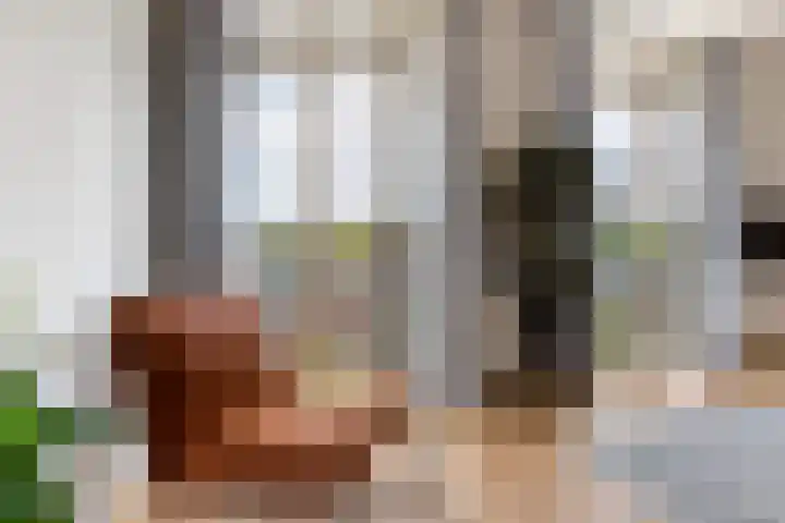 Adriaen van Ostadelaan 92 Utrecht thumbnail 46