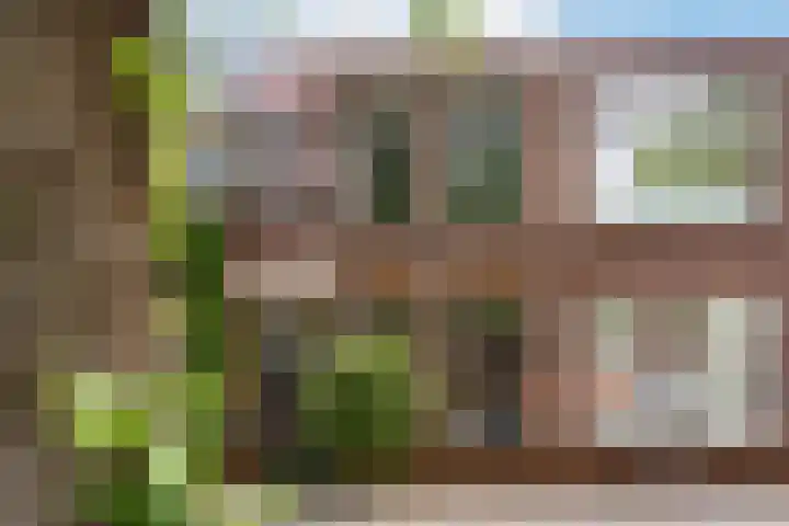 Adriaen van Ostadelaan 92 Utrecht thumbnail 47