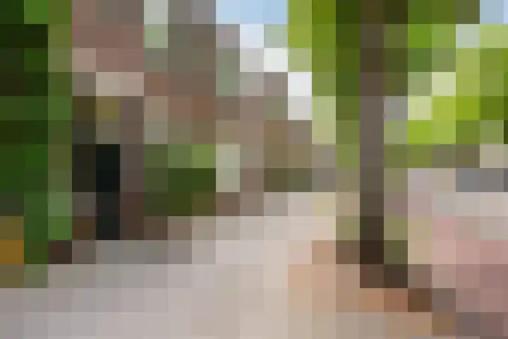 Adriaen van Ostadelaan 92 Utrecht thumbnail 49