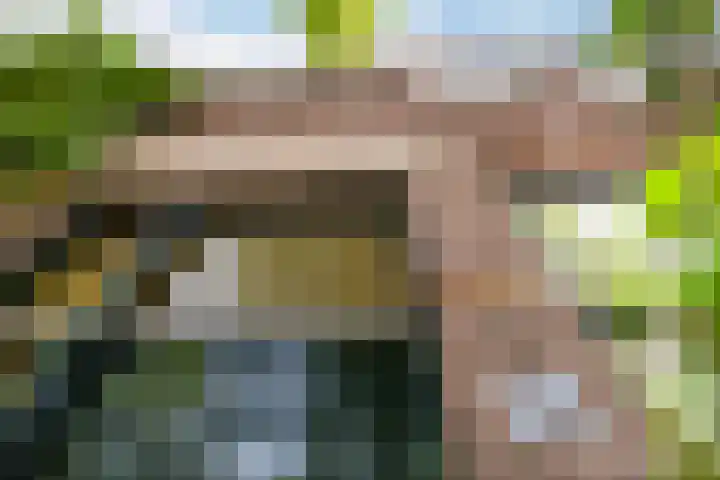 Adriaen van Ostadelaan 92 Utrecht thumbnail 5