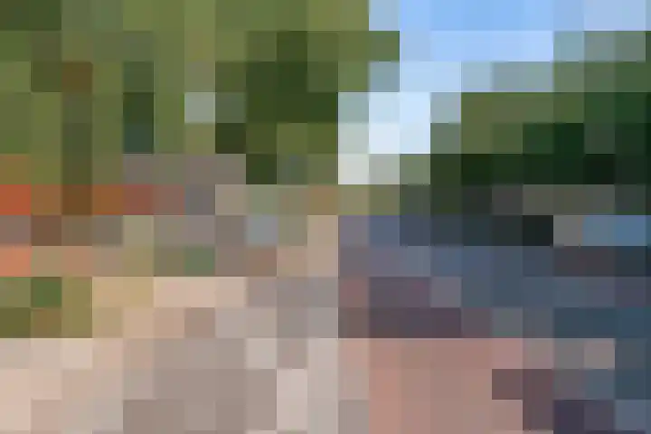 Adriaen van Ostadelaan 92 Utrecht thumbnail 51