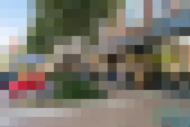 Adriaen van Ostadelaan 92 Utrecht thumbnail 53