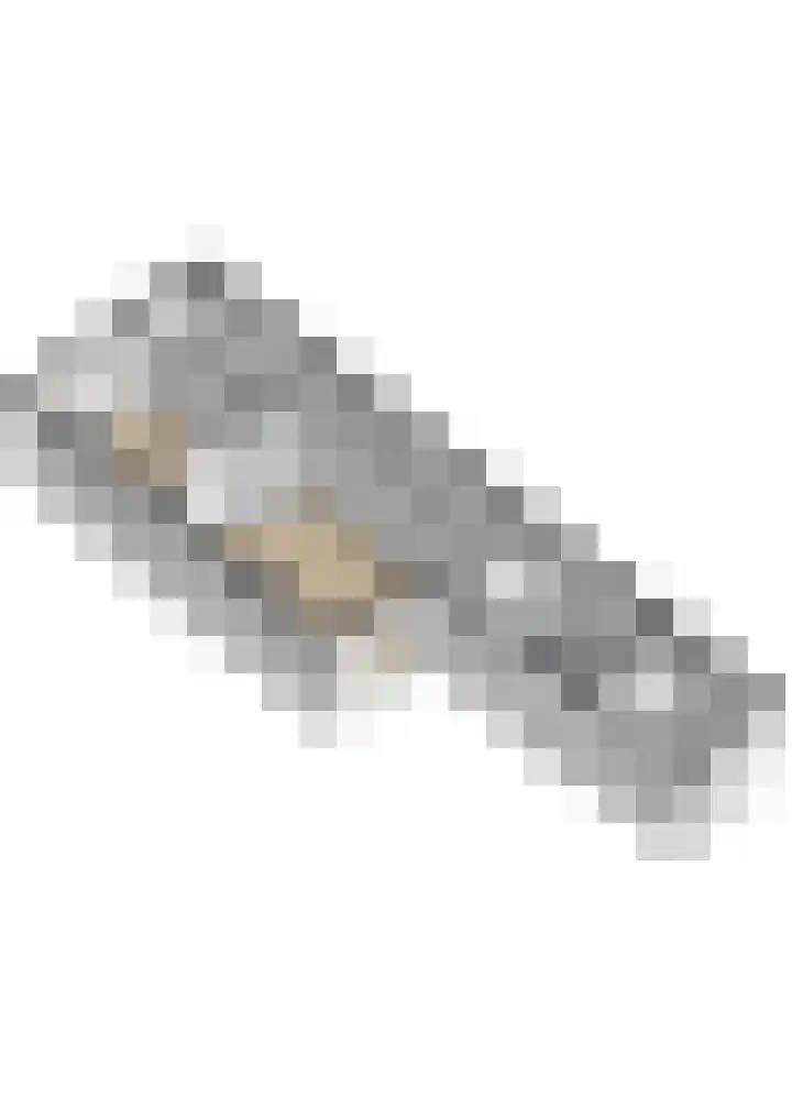 Adriaen van Ostadelaan 92 Utrecht thumbnail 58