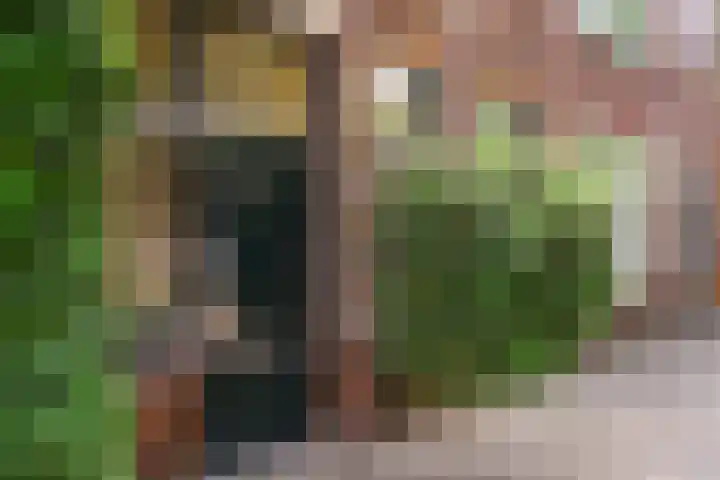 Adriaen van Ostadelaan 92 Utrecht thumbnail 6