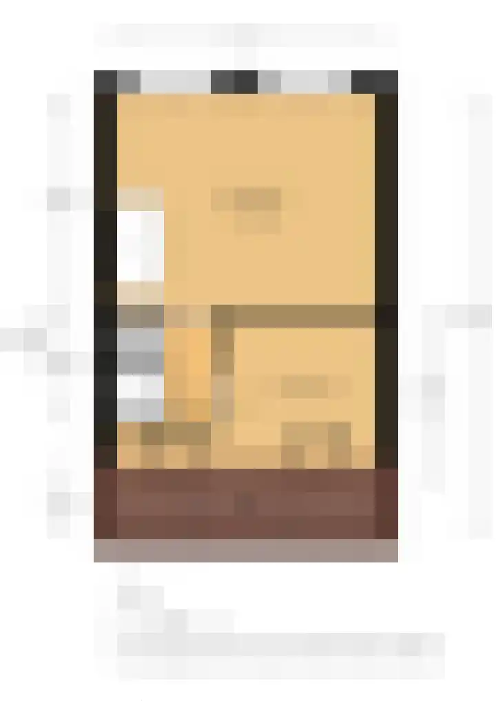 Adriaen van Ostadelaan 92 Utrecht thumbnail 61