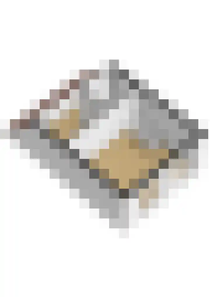 Adriaen van Ostadelaan 92 Utrecht thumbnail 62