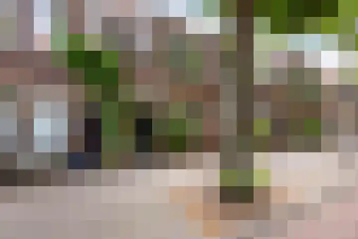 Adriaen van Ostadelaan 92 Utrecht thumbnail 63