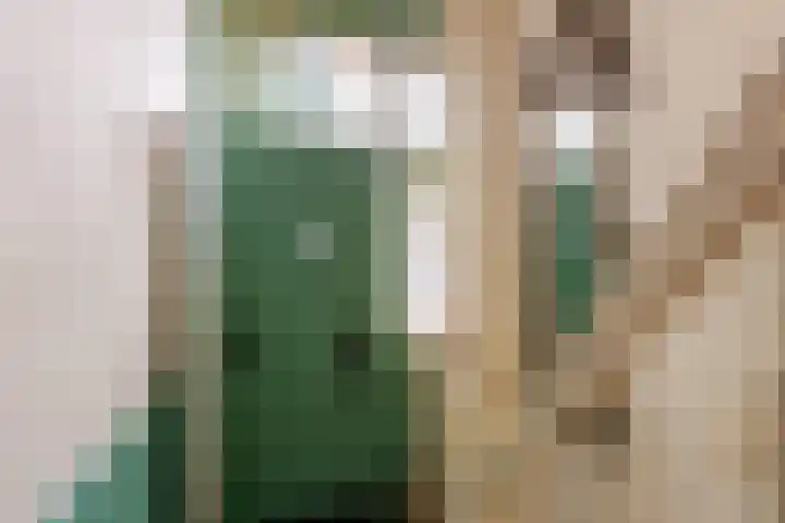 Adriaen van Ostadelaan 92 Utrecht thumbnail 8