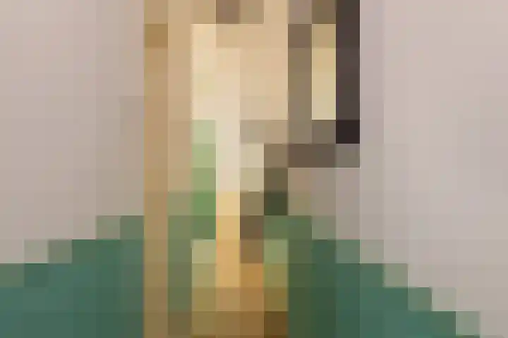 Adriaen van Ostadelaan 92 Utrecht thumbnail 9