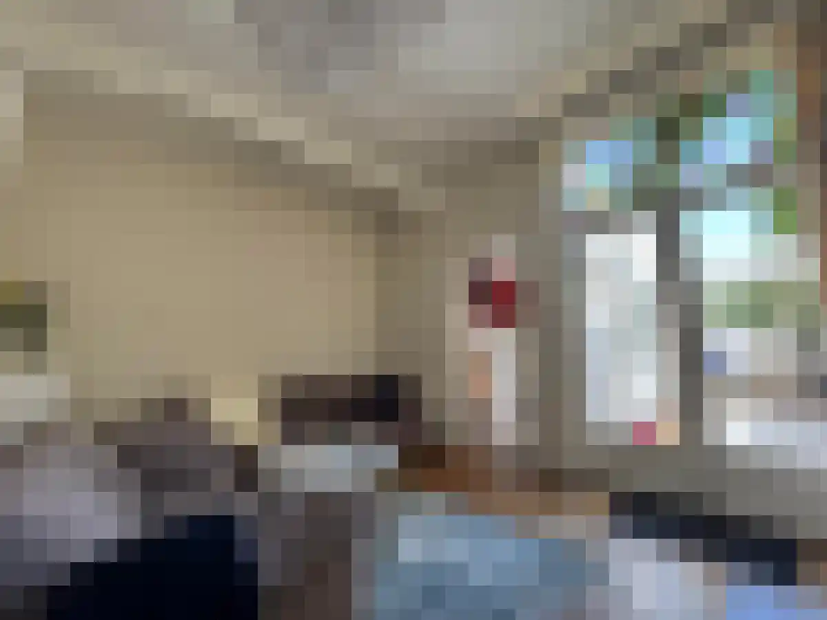 Adriaen van Ostadelaan Utrecht thumbnail 4