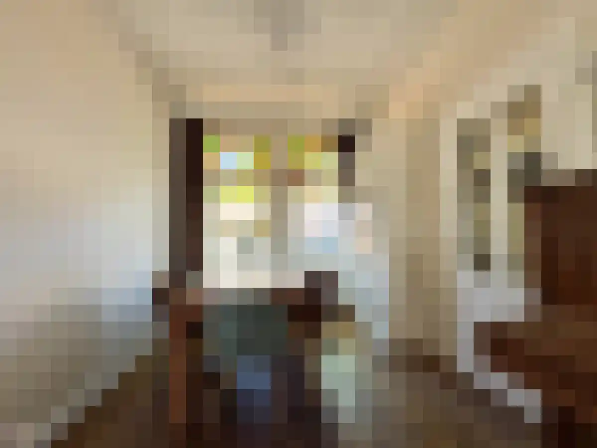 Adriaen van Ostadelaan Utrecht thumbnail 5