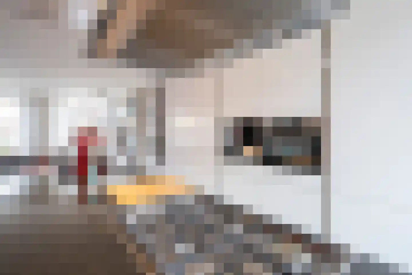 Adriaen van Ostadestraat 10 Papendrecht thumbnail 11
