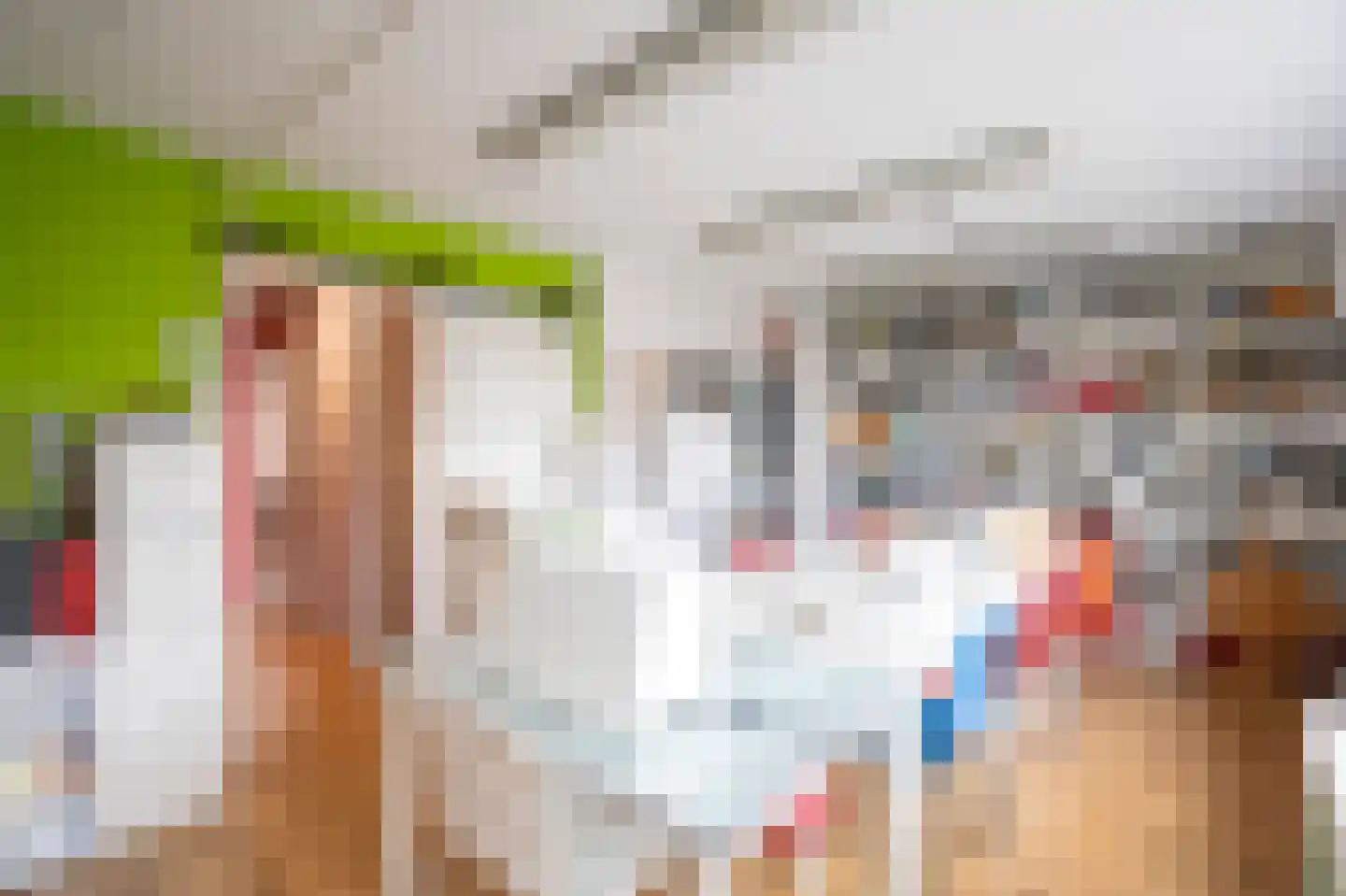 Adriaen van Ostadestraat 10 Papendrecht thumbnail 22