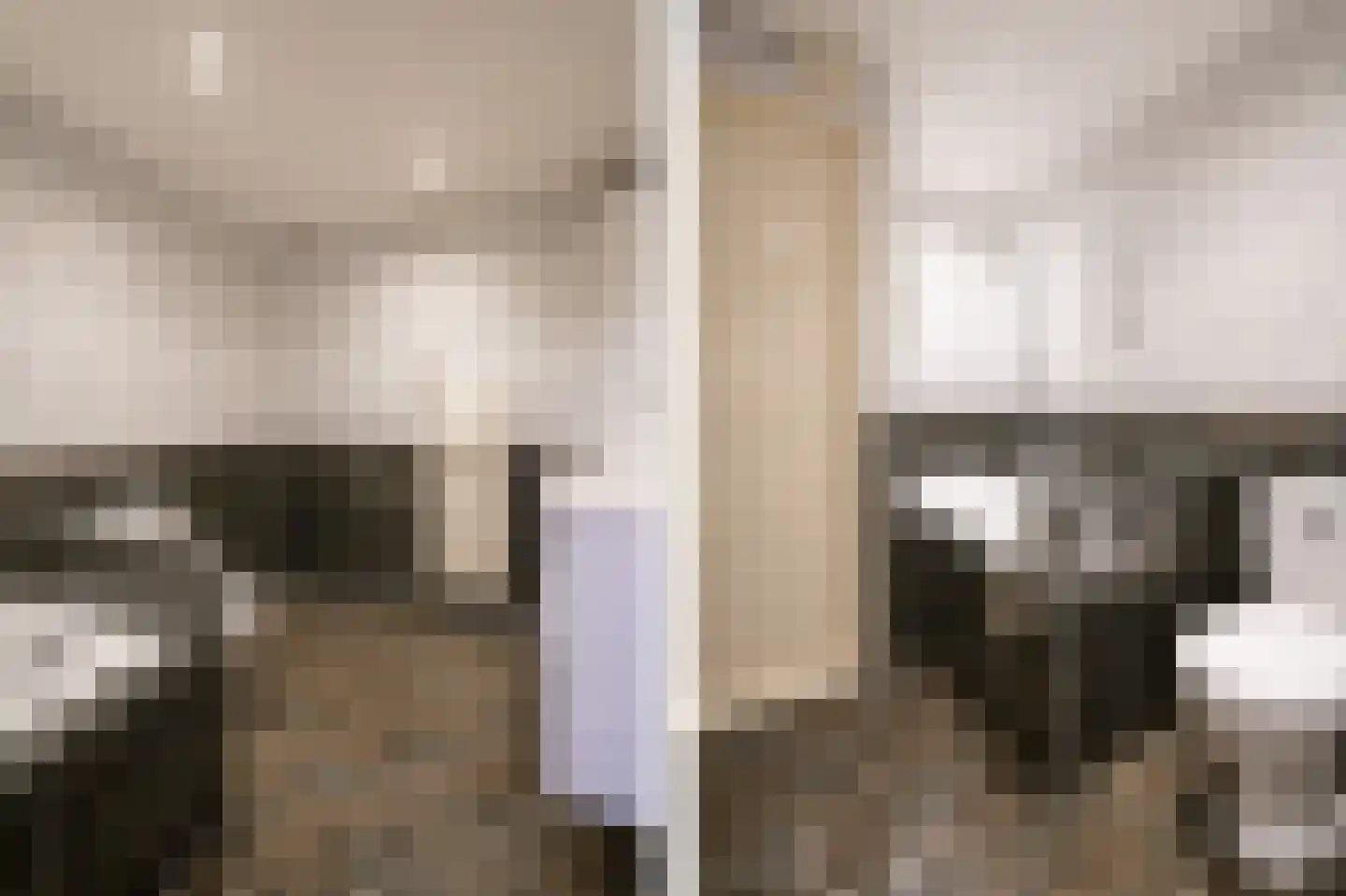 Adriaen van Ostadestraat 10 Papendrecht thumbnail 24