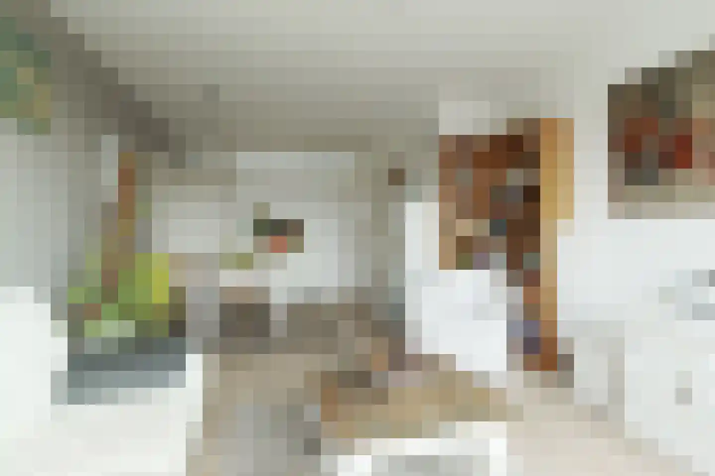 Adriaen van Ostadestraat 28 Ridderkerk thumbnail 12