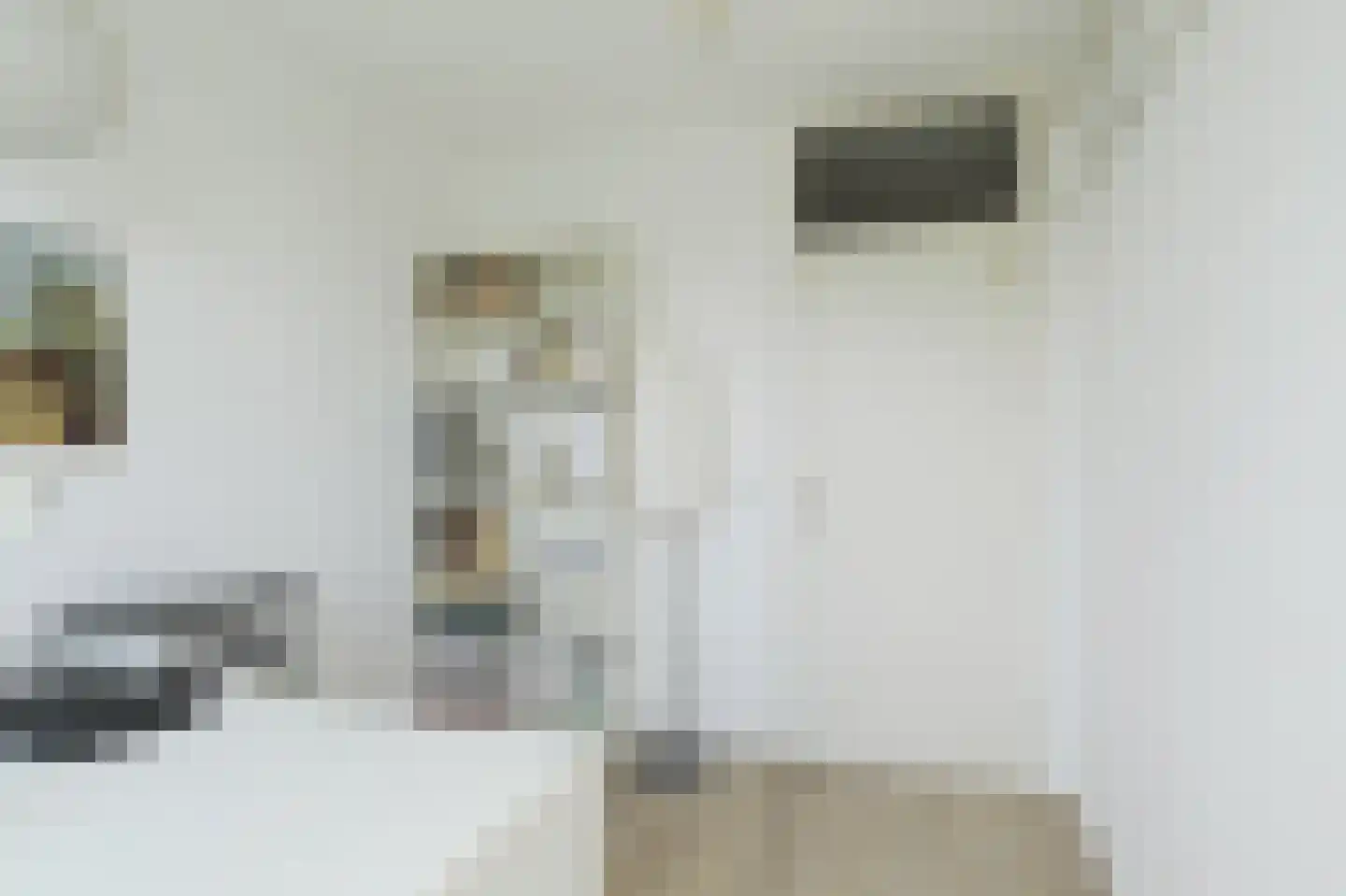 Adriaen van Ostadestraat 28 Ridderkerk thumbnail 22