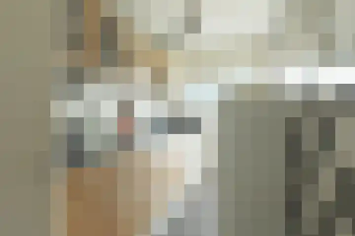 Adriaen van Ostadestraat 4 Ridderkerk thumbnail 12