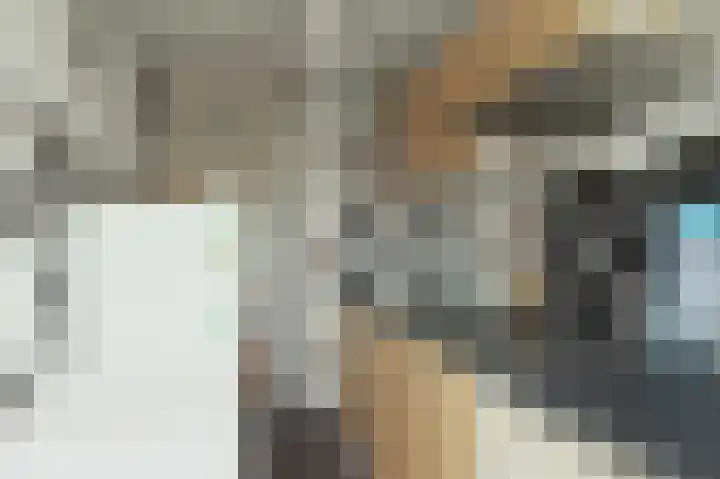 Adriaen van Ostadestraat 4 Ridderkerk thumbnail 13