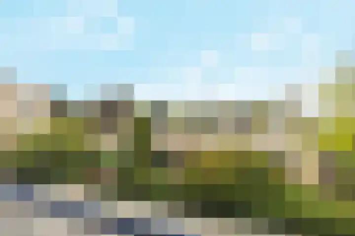 Adriaen van Ostadestraat 4 Ridderkerk thumbnail 14
