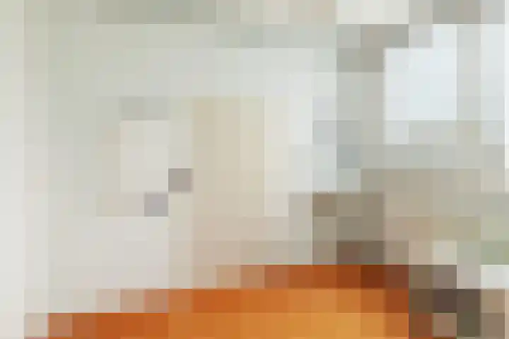 Adriaen van Ostadestraat 4 Ridderkerk thumbnail 19