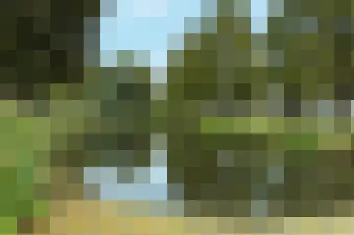 Adriaen van Ostadestraat 4 Ridderkerk thumbnail 25