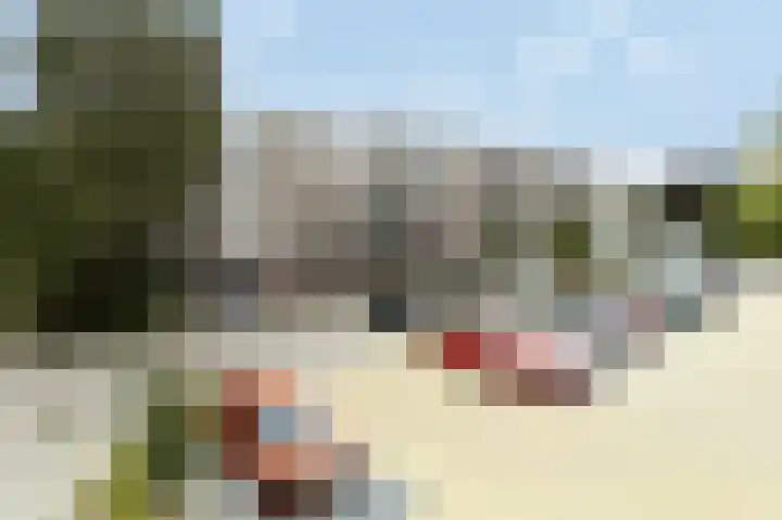 Adriaen van Ostadestraat 4 Ridderkerk thumbnail 29
