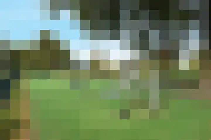 Adriaen van Ostadestraat 4 Ridderkerk thumbnail 4