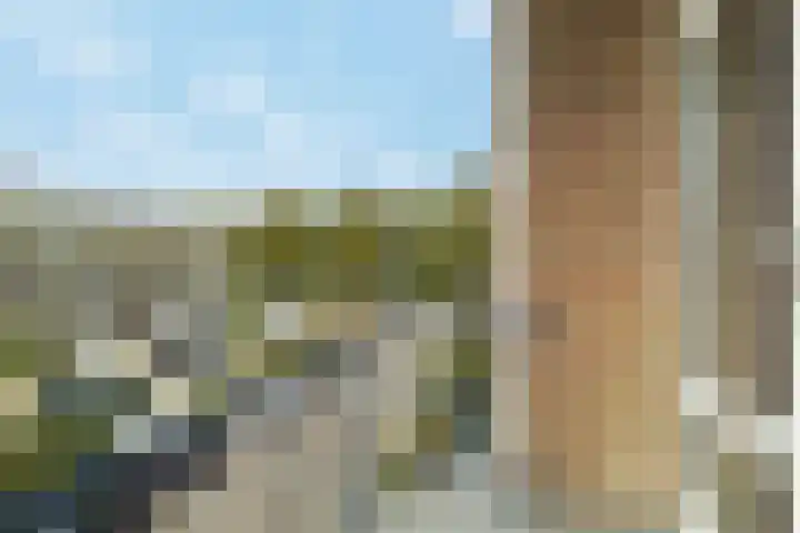 Adriaen van Ostadestraat 4 Ridderkerk thumbnail 5