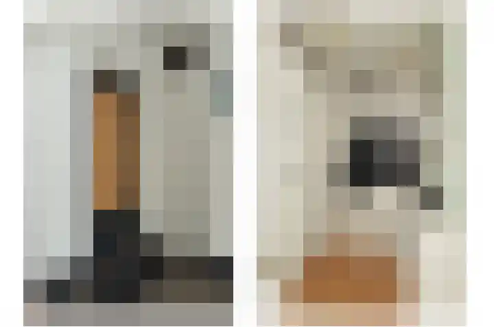 Adriaen van Ostadestraat 4 Ridderkerk thumbnail 7