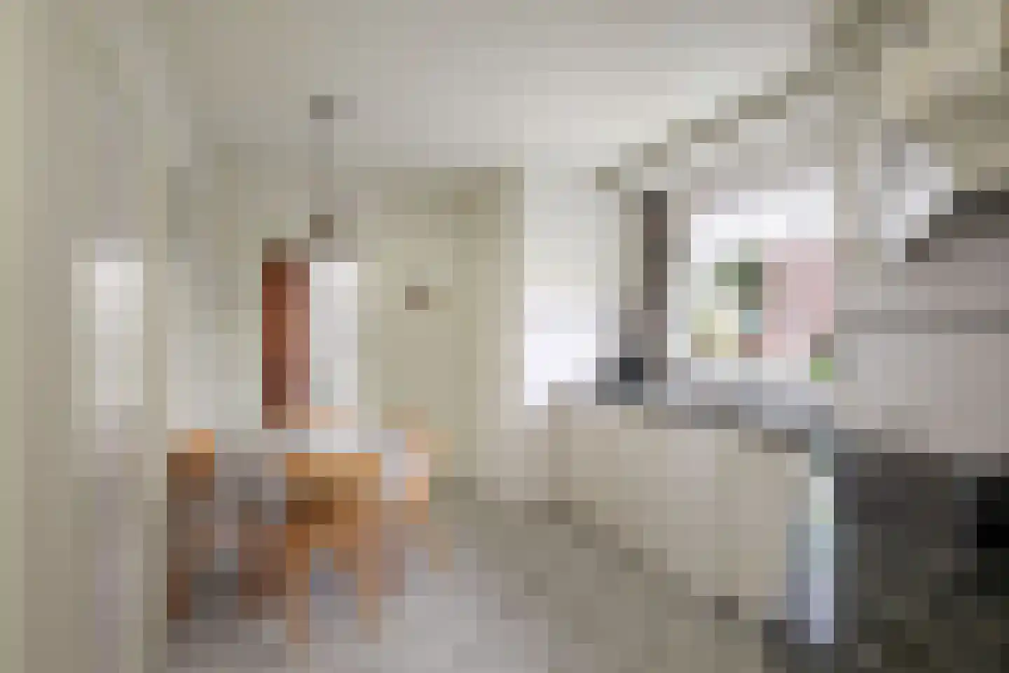 Adriaen van Ostadestraat 43 Twello thumbnail 14
