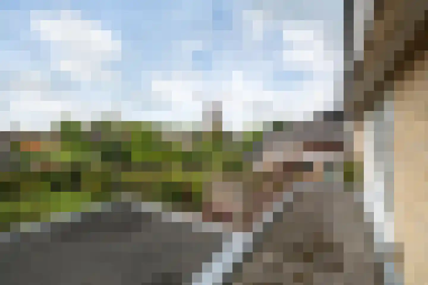 Adriaen van Ostadestraat 43 Twello thumbnail 21
