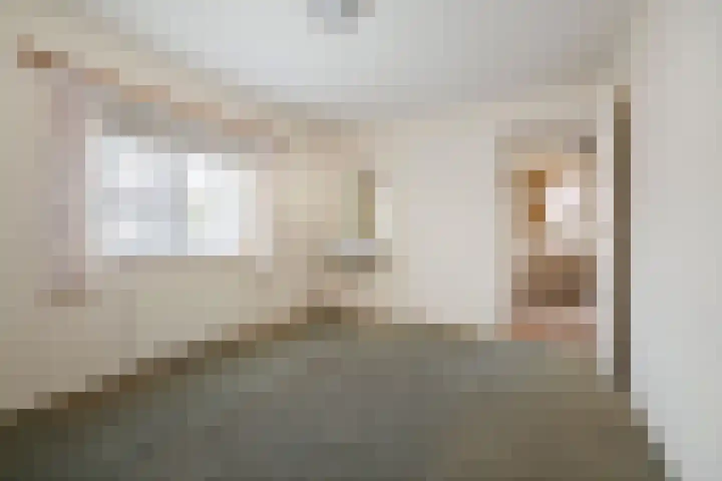Adriaen van Ostadestraat 43 Twello thumbnail 23