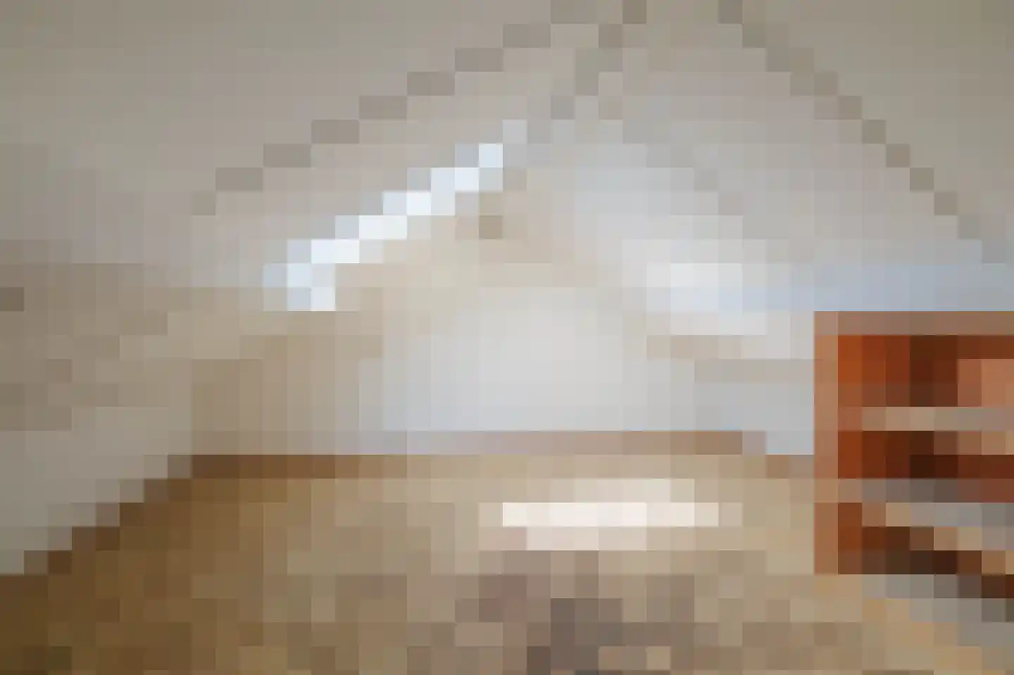 Adriaen van Ostadestraat 43 Twello thumbnail 28