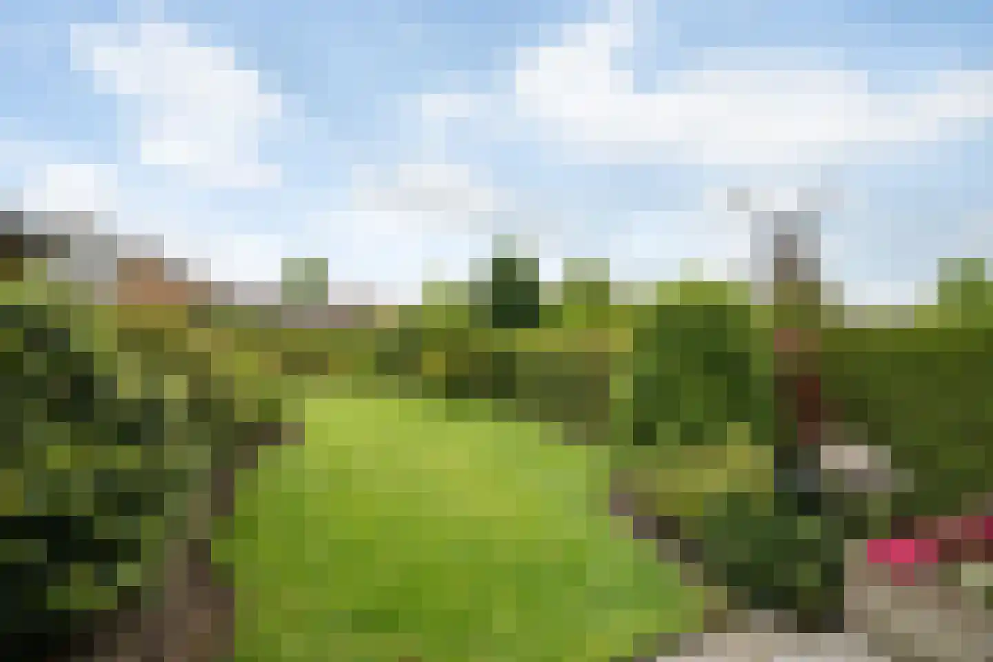 Adriaen van Ostadestraat 43 Twello thumbnail 32