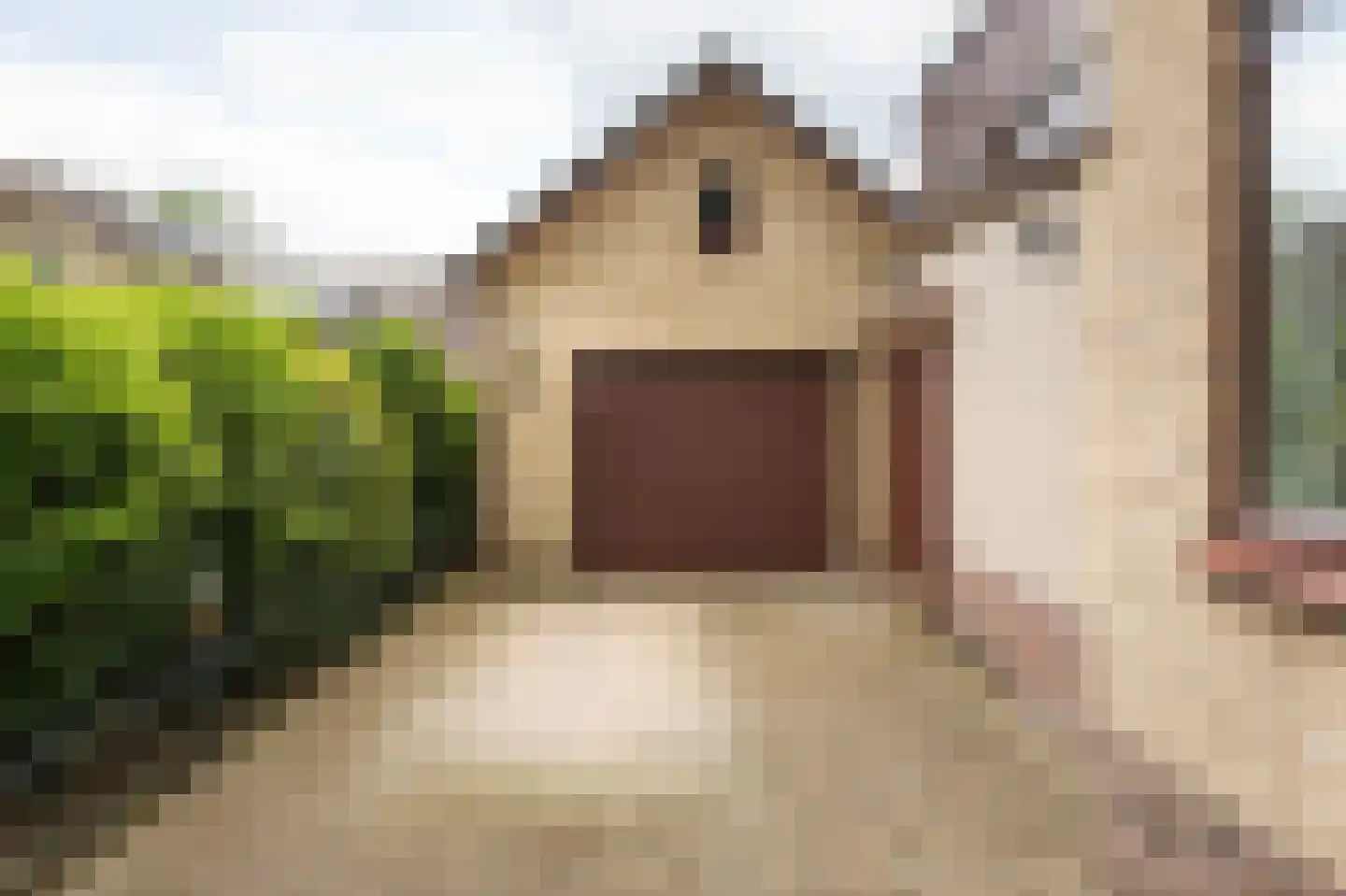 Adriaen van Ostadestraat 43 Twello thumbnail 4