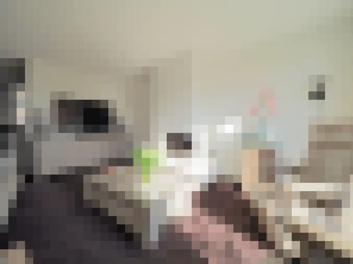 Adriaen van Ostadestraat 7 Papendrecht thumbnail 11